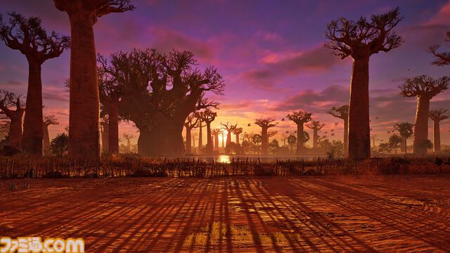 『鉄拳8』シリーズ初のマダガスカル出身の新キャラ・ミアリズ、新ステージが本日（12/5）より配信。オリジナルスウェットが当たる記念キャンペーンも開催