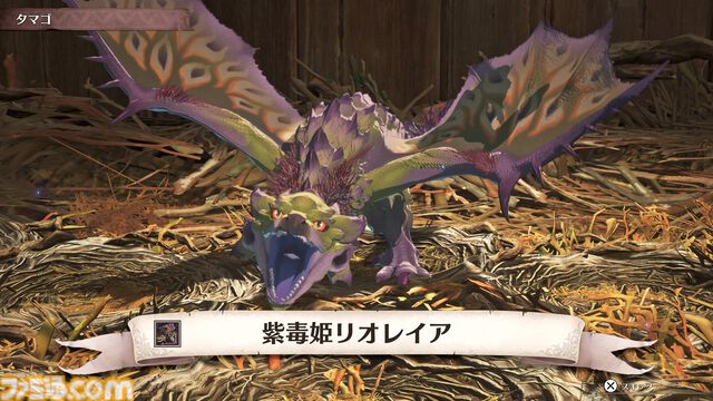 『モンハンストーリーズ3』ふ化したオトモンを野に帰して生態系を取り戻す“里孵し”など、モンスター収集・育成に関する新要素が公開