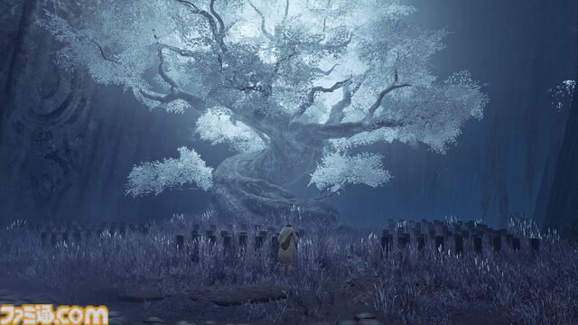 『モンハンワイルズ』フォトコンテスト結果発表！禁足地でハンターが捉えた至極の33点を紹介。応募総数約1600件から最優秀賞に選ばれたのはこの作品だ！【ファミ通ゲーム百景】