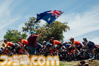 【アマプラ】実写版『ゴールデンカムイ』が映画・ドラマともに2026年1月5日より見放題配信スタート。アニメも最終章が同日より配信