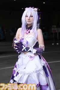 【コスプレ】不知火舞は忍装束もライダースーツもかっこいい。『魔界村』アーサーはパンツじゃないから恥ずかしくないもん。冬コミ前にTGSのレイヤーを振り返る