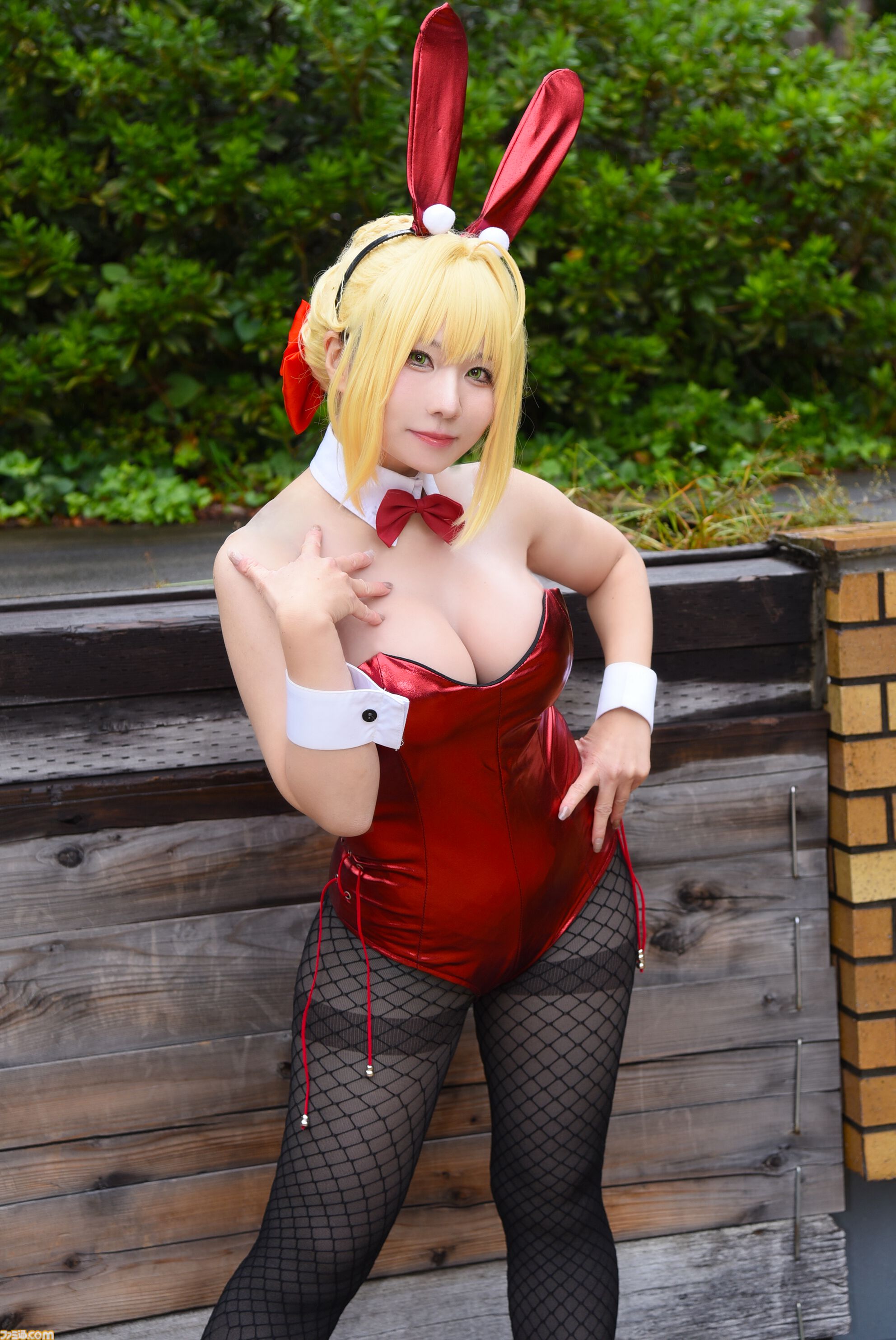 【コスプレ】『NIKKE』『To LOVEる』『FGO』『ハルヒ』などバニー衣装が人気。燦然と輝く『ジャングルの王者ターちゃん』にコスプレの自由さを見た【池ハロ2025振り返り】