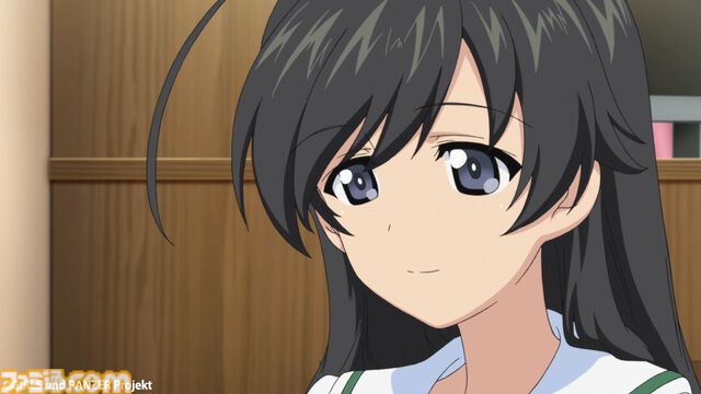 アニメ『ガールズ＆パンツァー』（第1期／12話）劇場版も制作された美少女×戦車アニメの最終回をネタバレしつつ紹介【アニメ最終回ハンター】