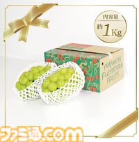 【Amazonふるさと納税】24型アクオスや4Kモニターからサイクロン式掃除機、タニタの体脂肪計など欲しい返礼品が勢揃い。高騰が続くお米やお肉など生鮮食品も見逃せない