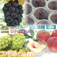 【楽天ふるさと納税】チューナーレステレビやトースター、ヨギボーもラインアップ。お肉やお米、フルーツのほか、旅行で使えるクーポンなどバリエーション豊かな返礼品をチェック