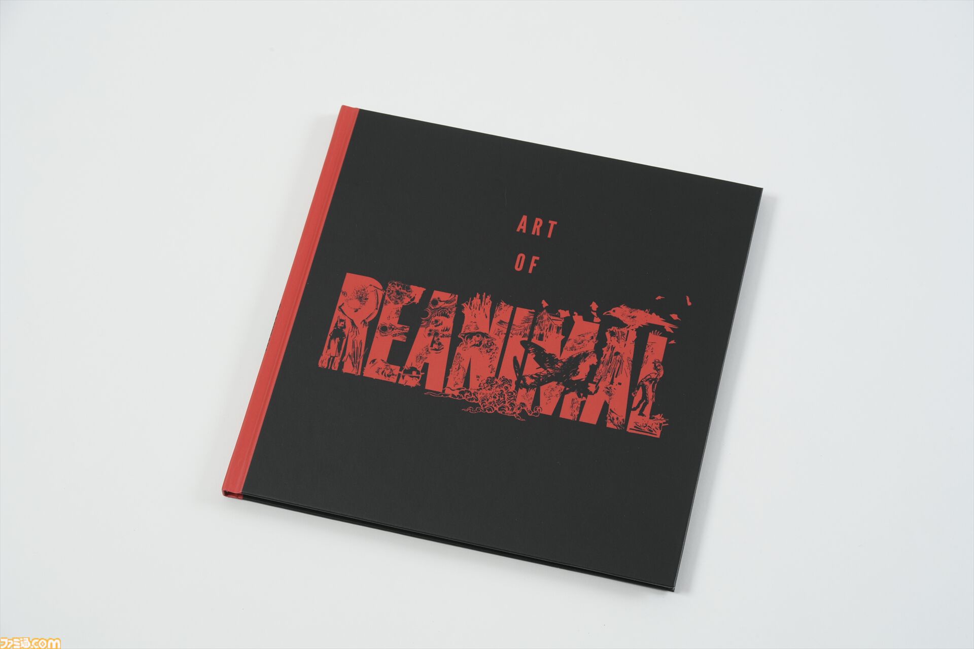 画像ページ (5/13) 『REANIMAL（リアニマル）』限定版コレクターズ