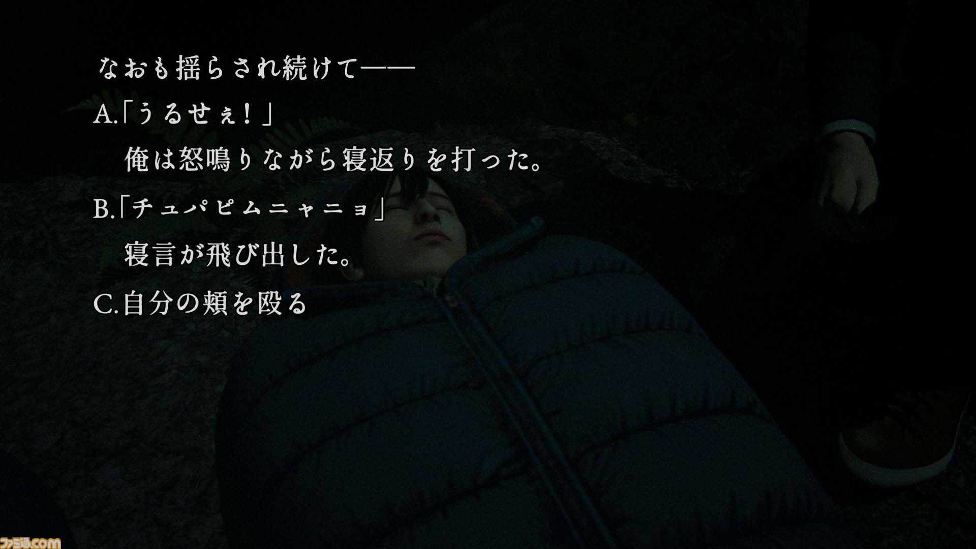 『樹海迷路』レビュー