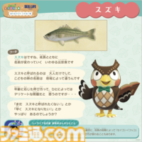 『あつ森』×名古屋シーライフ水族館とのコラボイベントが1月30日より開催。限定グッズの販売や貝殻のリース作り体験などが楽しめる