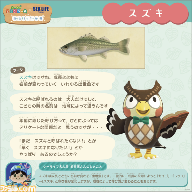 『あつ森』×名古屋シーライフ水族館とのコラボイベントが1月30日より開催。限定グッズの販売や貝殻のリース作り体験などが楽しめる