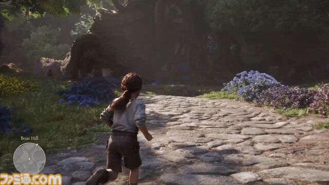 自由すぎるファンタジーRPG『フェイブル』シリーズ最新作は2026年秋発売。本作でもNPCとの結婚や不動産転がしはできる模様。どんな英雄になるかはプレイヤー次第【Developer_Direct】