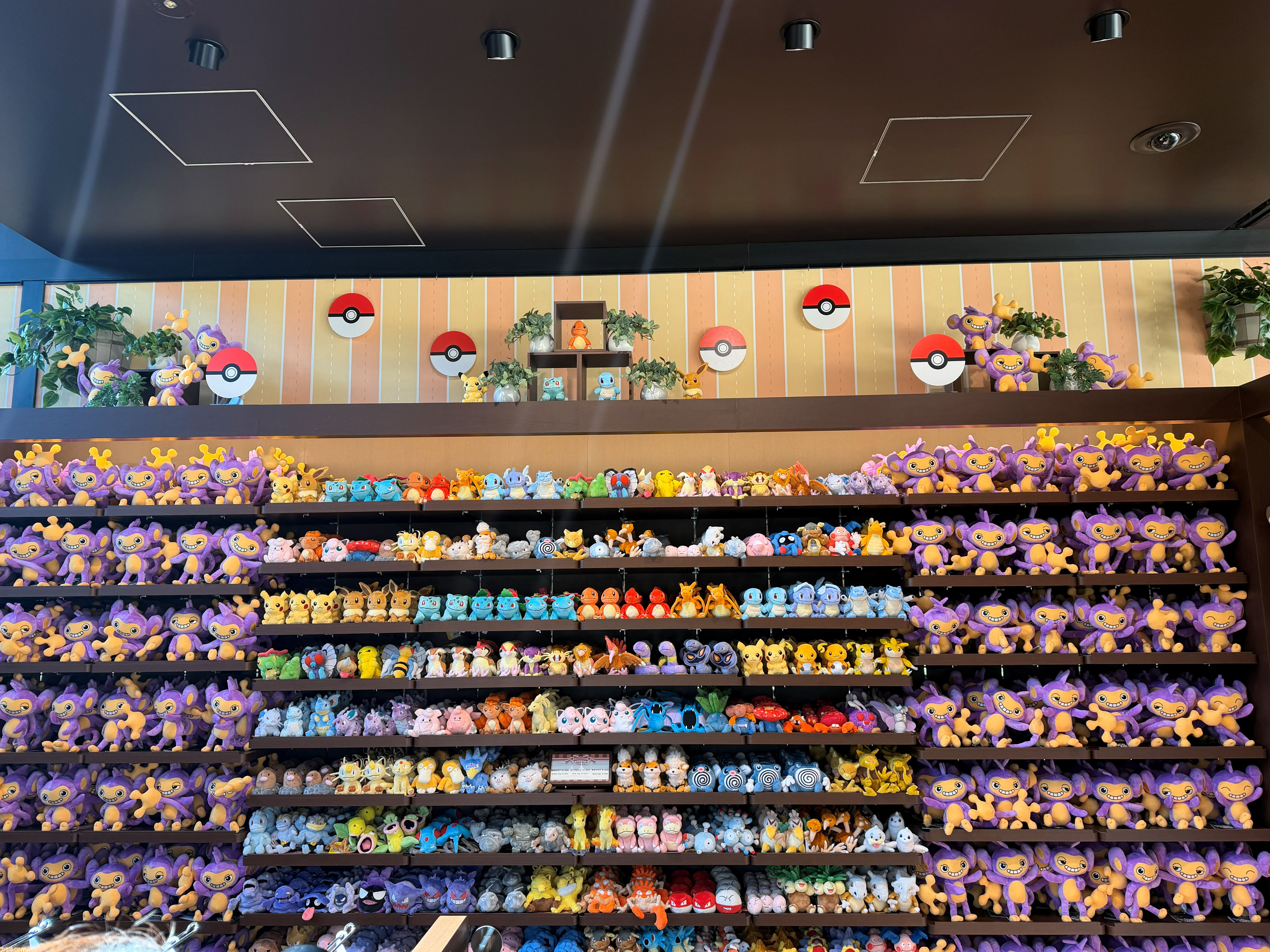 『ポケパーク カントー』内覧会リポート。史上最高のポケモンの世界に飛び込む体験！　想像以上にリアルなポケモンたちの姿に感動。