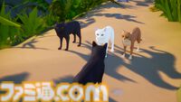 『Scattered』猫になって南の島を探索するアクションゲーム。「ニャー」と鳴いたり物を落としたり気ままに猫ロールプレイ。大量の猫が集まる画像が堪らニャイ
