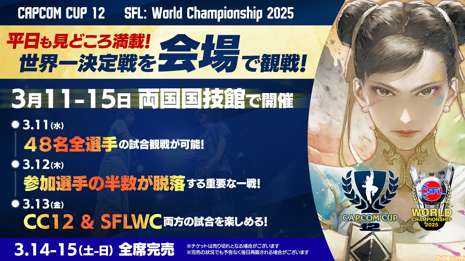 カプコンカップ12、SFLワールドチャンピオンシップ 2025のライブ視聴チケットが価格改定。2DAYSセットは1500円、1DAYチケットは900円に