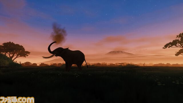 『Seclusa』アフリカの動物たちを観察・撮影しよう。チルい雰囲気の写真シミュレーターが2月17日発売。ロッジでのんびりしたり広大な景色を眺めることも