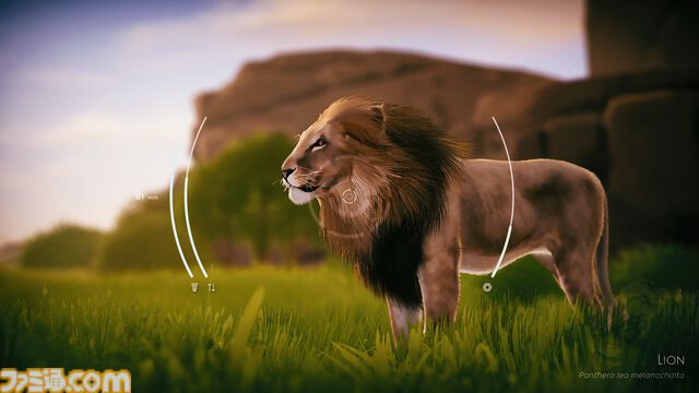 『Seclusa』アフリカの動物たちを観察・撮影しよう。チルい雰囲気の写真シミュレーターが2月17日発売。ロッジでのんびりしたり広大な景色を眺めることも