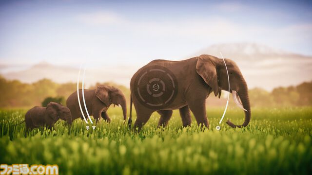 『Seclusa』アフリカの動物たちを観察・撮影しよう。チルい雰囲気の写真シミュレーターが2月17日発売。ロッジでのんびりしたり広大な景色を眺めることも