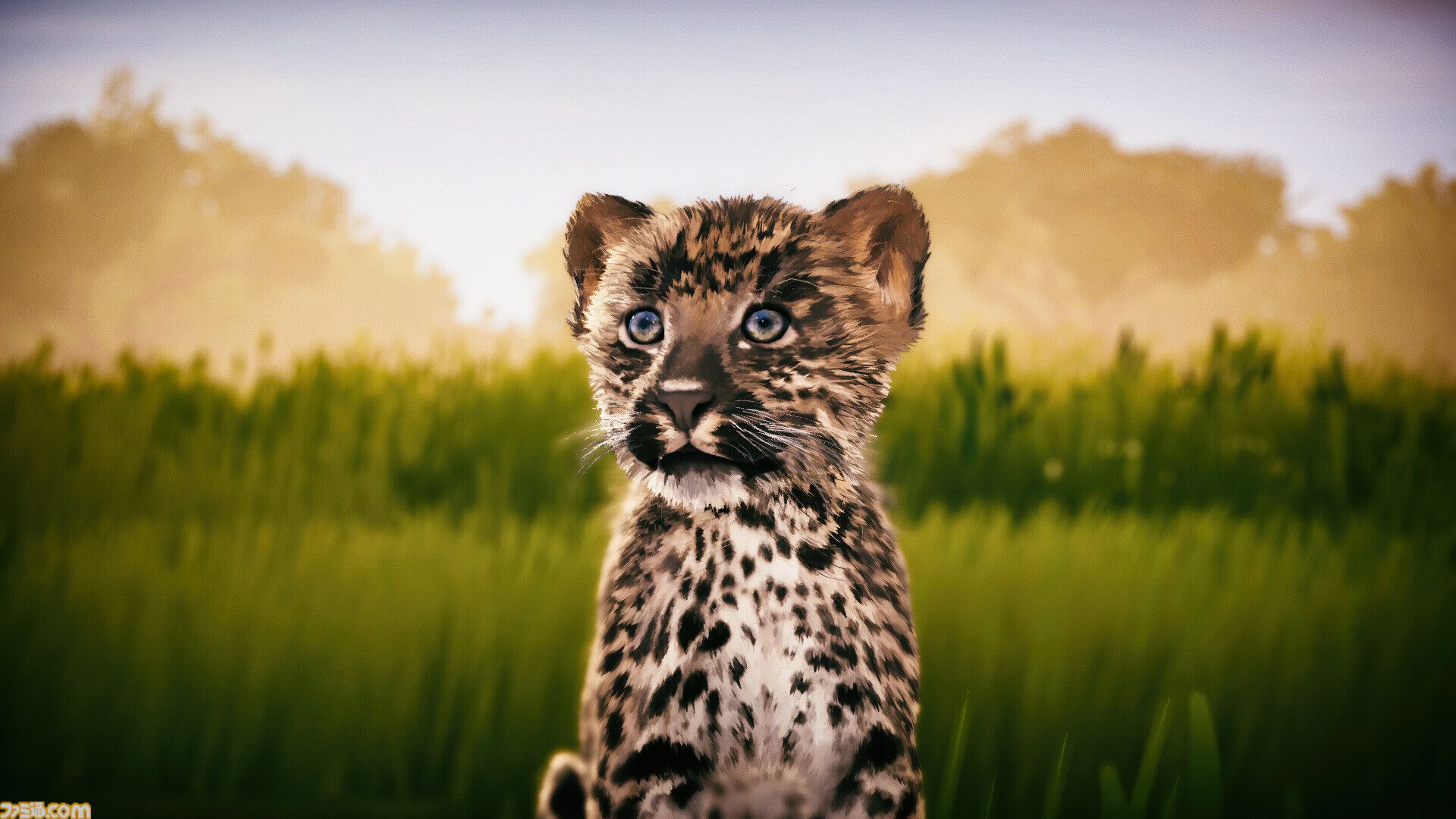 『Seclusa』アフリカの動物たちを観察・撮影しよう。チルい雰囲気の写真シミュレーターが2月17日発売。ロッジでのんびりしたり広大な景色を眺めることも