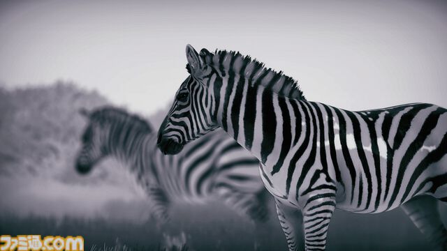 『Seclusa』アフリカの動物たちを観察・撮影しよう。チルい雰囲気の写真シミュレーターが2月17日発売。ロッジでのんびりしたり広大な景色を眺めることも