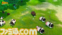 新作『牧場物語』でグライダーがシリーズ初登場。四季折々の自然表現を感じられる新映像が公開【マーベラスゲームショーケース2024】