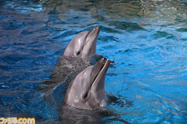 『たまごっち』えのすいコラボでまめっちと海の生きもの観察。『たまパラ』“あほろぱっち”そっくりのウーパールーパー展示も【3月14日スタート】