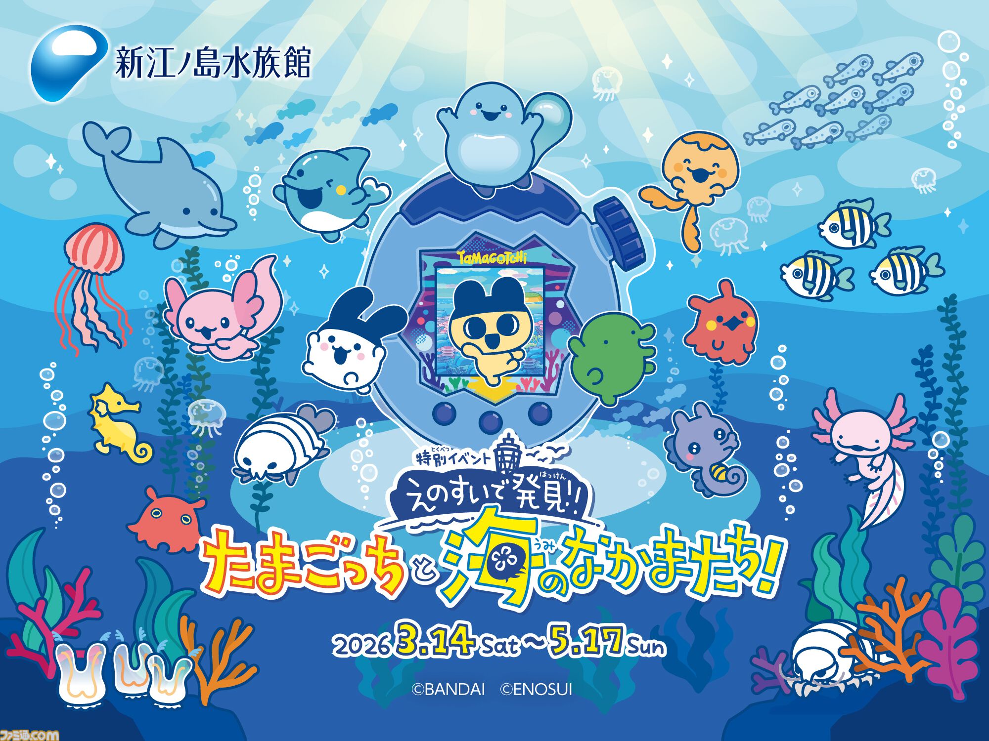 たまごっち』えのすいコラボでまめっちと海の生きもの観察。『たまパラ