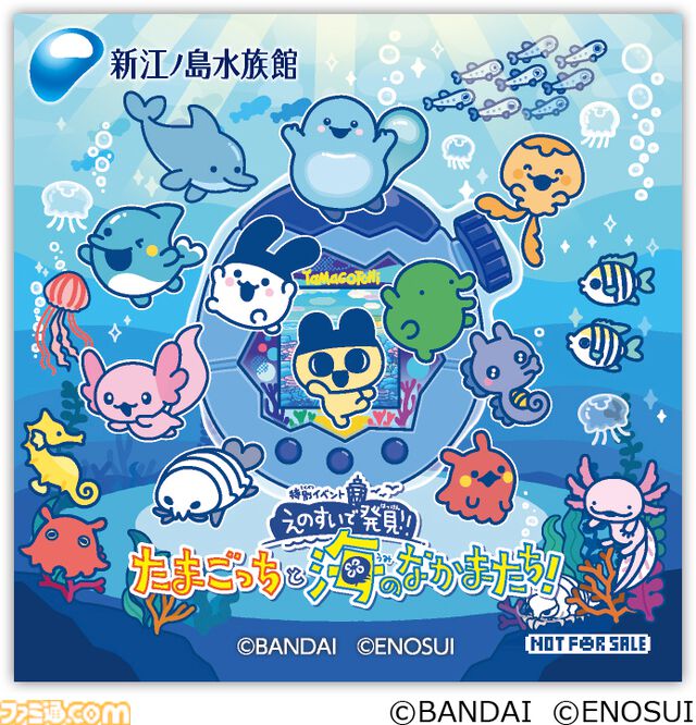 『たまごっち』えのすいコラボでまめっちと海の生きもの観察。『たまパラ』“あほろぱっち”そっくりのウーパールーパー展示も【3月14日スタート】