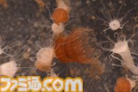 『たまごっち』えのすいコラボでまめっちと海の生きもの観察。『たまパラ』“あほろぱっち”そっくりのウーパールーパー展示も【3月14日スタート】