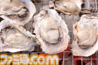 【柴田亜美先生と往く！　ロマンシングな佐賀の旅・前編】月の引力に導かれ、スービエで有明海をわたり、はにわに絵を付ける。佐賀の自然と伝統を感じる旅へ