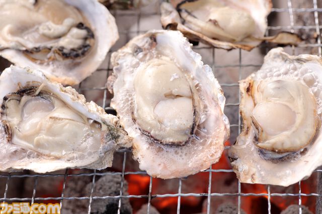 【柴田亜美先生と往く！　ロマンシングな佐賀の旅・前編】月の引力に導かれ、スービエで有明海をわたり、はにわに絵を付ける。佐賀の自然と伝統を感じる旅へ