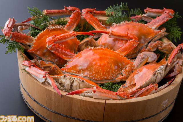 【柴田亜美先生と往く！　ロマンシングな佐賀の旅・前編】月の引力に導かれ、スービエで有明海をわたり、はにわに絵を付ける。佐賀の自然と伝統を感じる旅へ