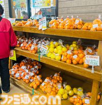 【柴田亜美先生と往く！　ロマンシングな佐賀の旅・前編】月の引力に導かれ、スービエで有明海をわたり、はにわに絵を付ける。佐賀の自然と伝統を感じる旅へ