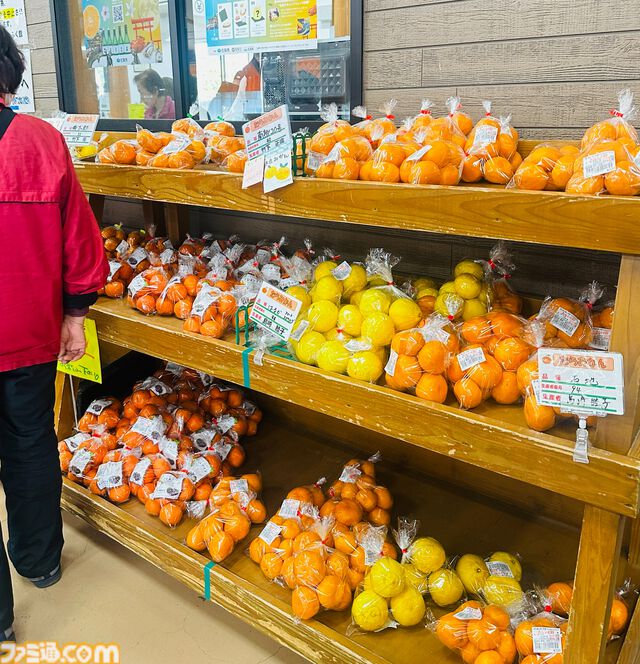 【柴田亜美先生と往く！　ロマンシングな佐賀の旅・前編】月の引力に導かれ、スービエで有明海をわたり、はにわに絵を付ける。佐賀の自然と伝統を感じる旅へ