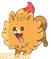 御三家のポムケン