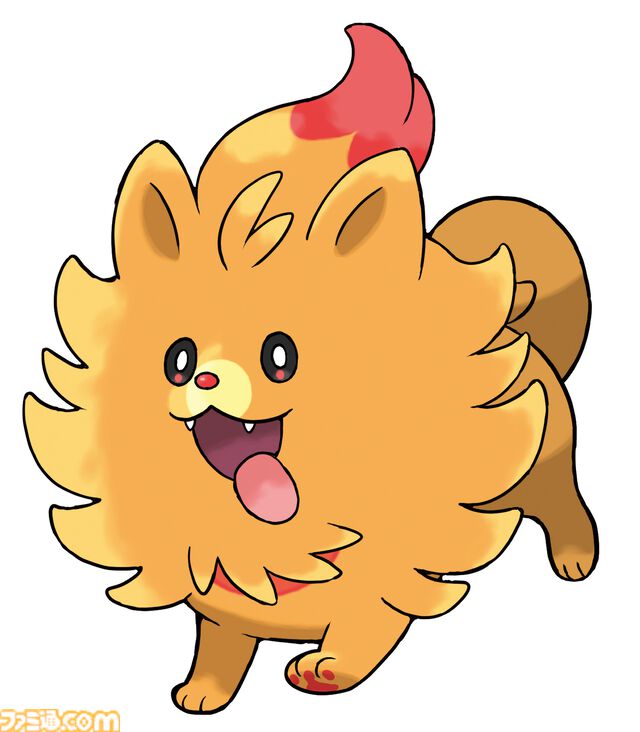 御三家のポムケン