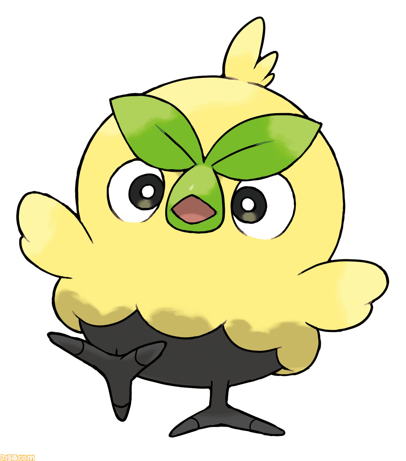 御三家のハブロウ