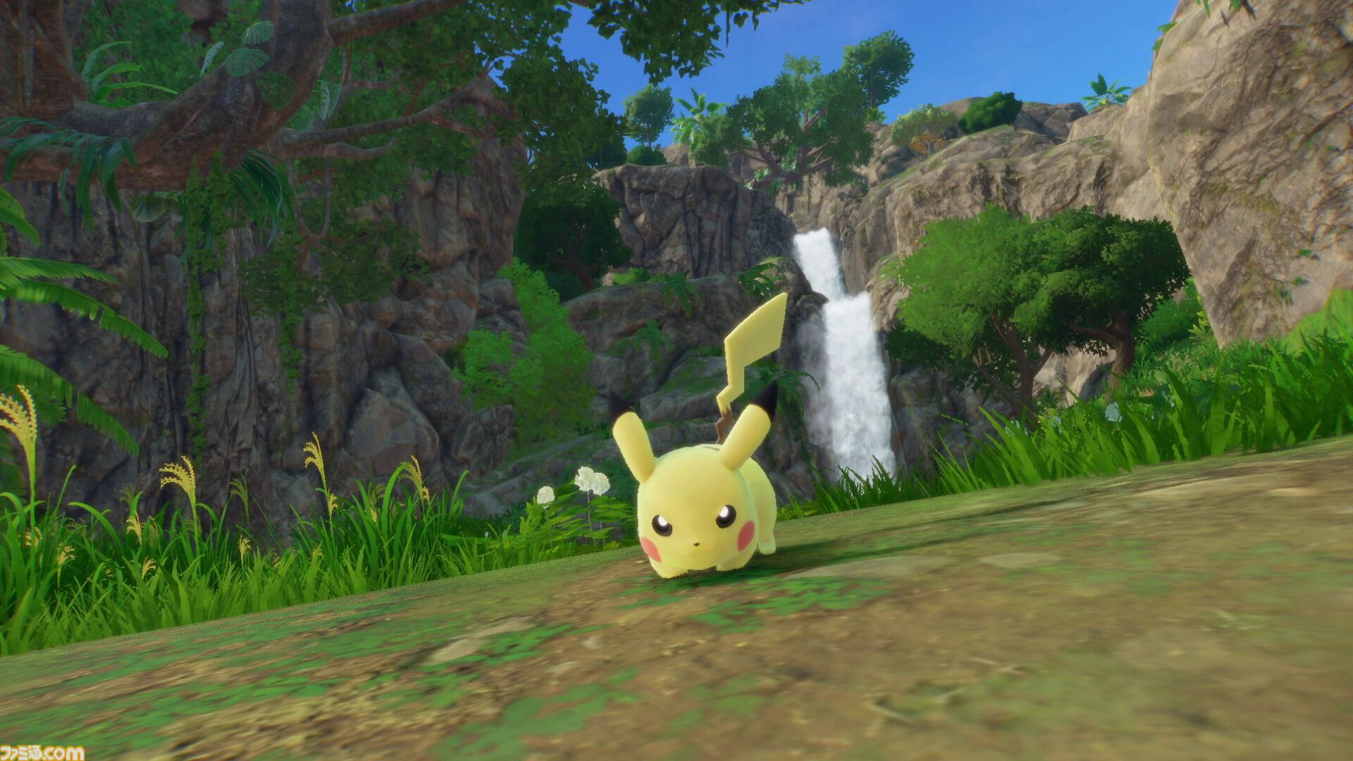 【ポケモン風波】『ポケットモンスターウィンド・ウェーブ』が発表。最初の3匹となるハブロウ、ポムケン、ミオリーも明らかに【ポケモンデー2026】