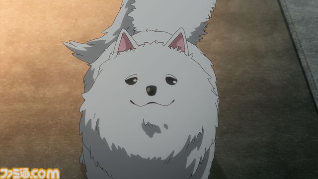 アニメ4期『ゆるキャン△ シーズン4』の放送時期は2027年。なでしこたちや新入生の絵真＆メイが映る最新映像も公開