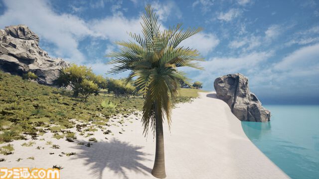 『Palm Simulator 2』ヤシの木として人生を過ごすチルゲーが発売決定。ビーチで撮った写真と見間違えるほどグラフィックがいい