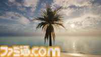 『Palm Simulator 2』ヤシの木として人生を過ごすチルゲーが発売決定。ビーチで撮った写真と見間違えるほどグラフィックがいい