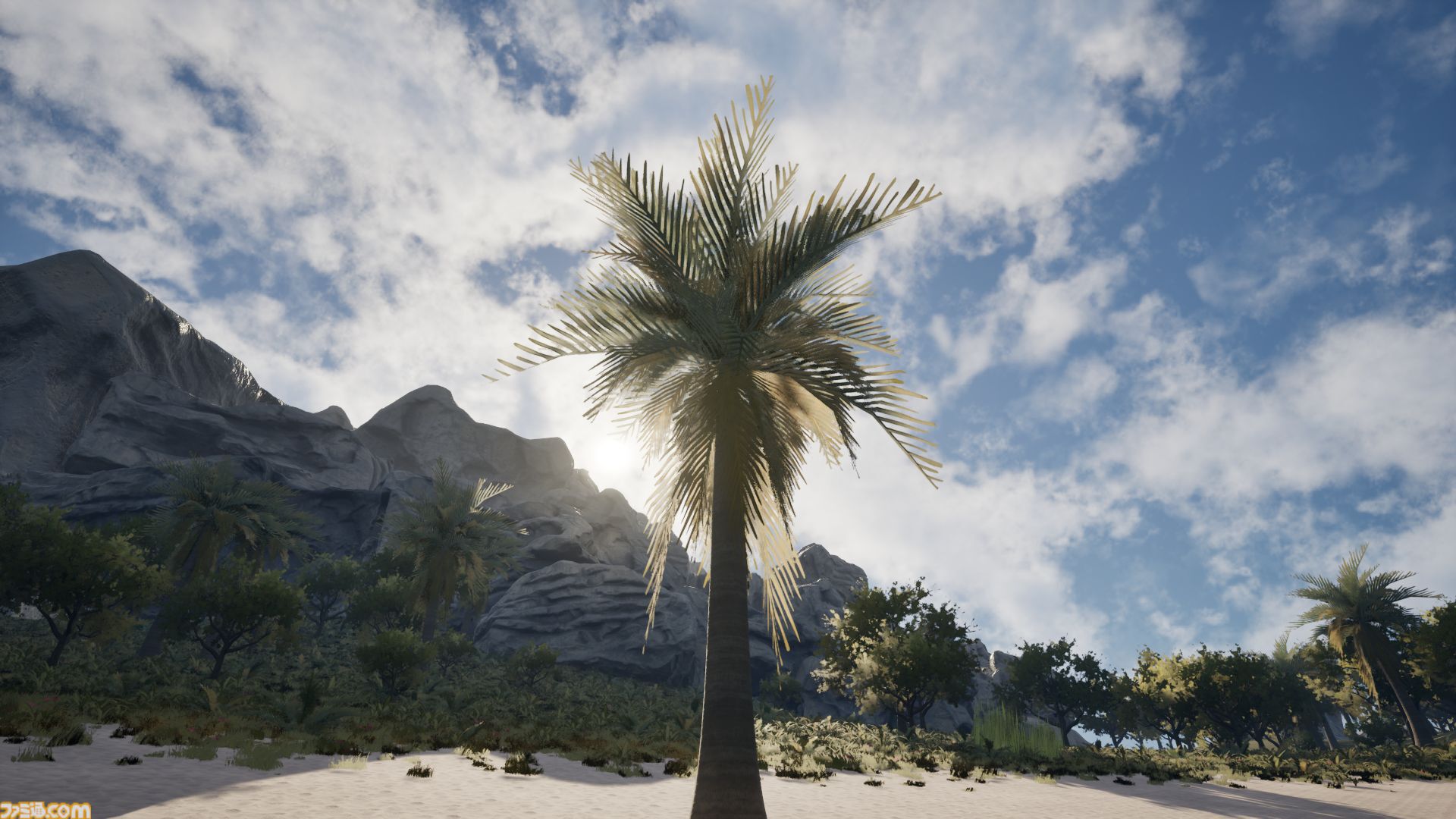 『Palm Simulator 2』ヤシの木として人生を過ごすチルゲーが発売決定。ビーチで撮った写真と見間違えるほどグラフィックがいい