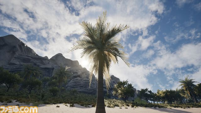 『Palm Simulator 2』ヤシの木として人生を過ごすチルゲーが発売決定。ビーチで撮った写真と見間違えるほどグラフィックがいい
