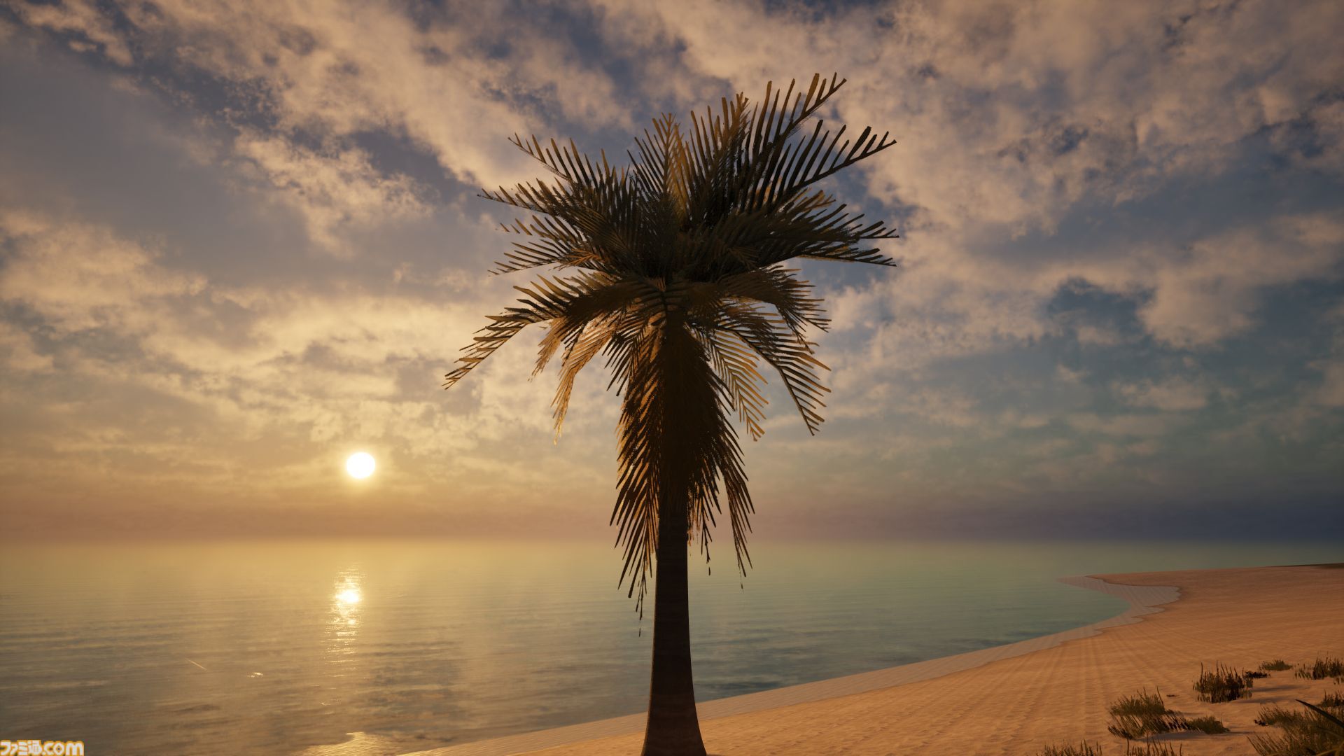 『Palm Simulator 2』ヤシの木として人生を過ごすチルゲーが発売決定。ビーチで撮った写真と見間違えるほどグラフィックがいい