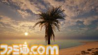 『Palm Simulator 2』ヤシの木として人生を過ごすチルゲーが発売決定。ビーチで撮った写真と見間違えるほどグラフィックがいい