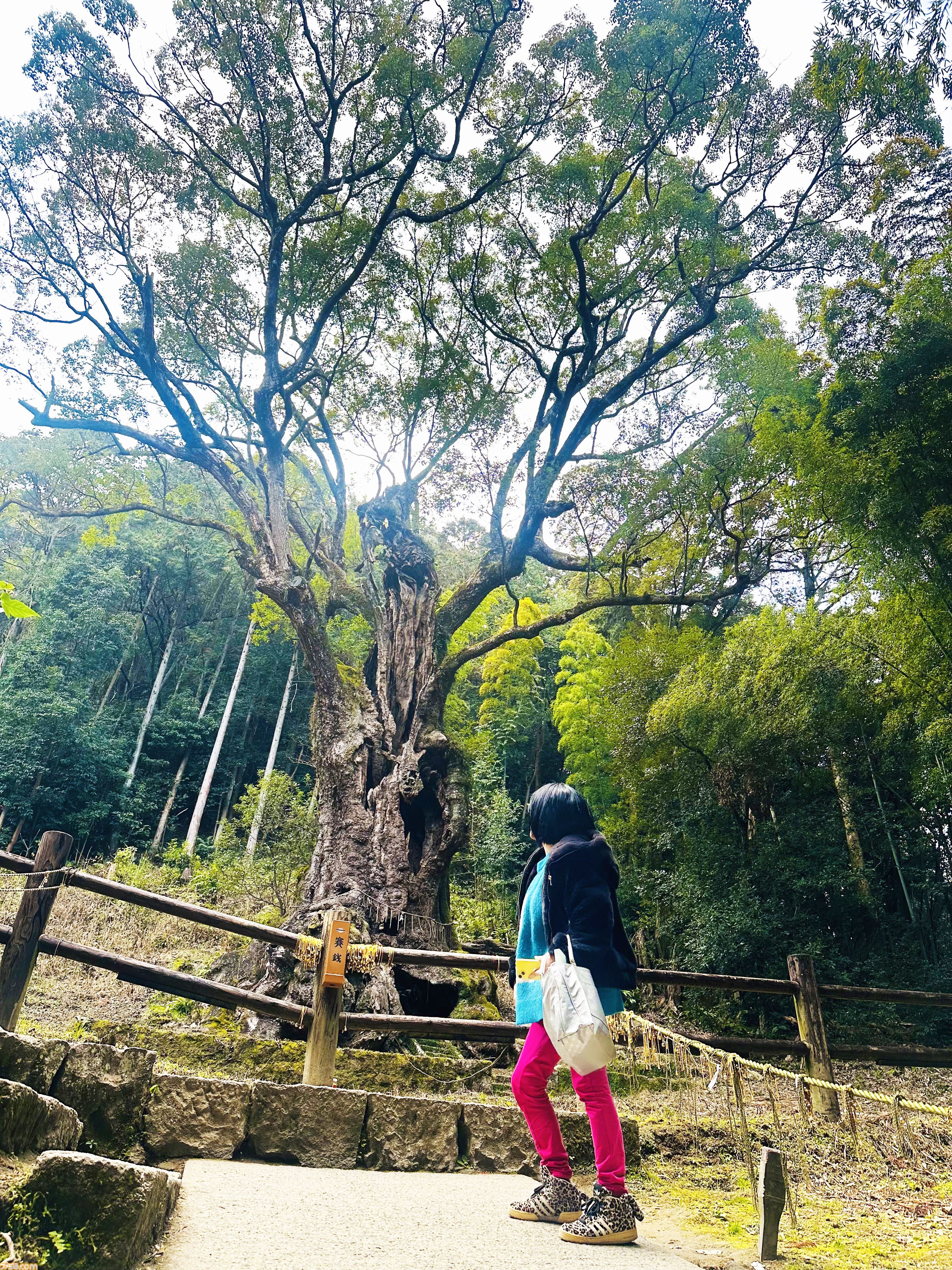 【柴田亜美先生と往く！ ロマンシングな佐賀の旅・後編】温泉とレトロ建築を満喫して、カッパが見守る酒蔵でほろ酔い。そして先祖のルーツをたどる