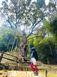 【柴田亜美先生と往く！ ロマンシングな佐賀の旅・後編】温泉とレトロ建築を満喫して、カッパが見守る酒蔵でほろ酔い。そして先祖のルーツをたどる