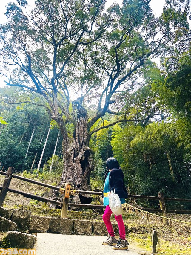 【柴田亜美先生と往く！ ロマンシングな佐賀の旅・後編】温泉とレトロ建築を満喫して、カッパが見守る酒蔵でほろ酔い。そして先祖のルーツをたどる