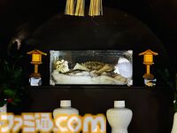 【柴田亜美先生と往く！ ロマンシングな佐賀の旅・後編】温泉とレトロ建築を満喫して、カッパが見守る酒蔵でほろ酔い。そして先祖のルーツをたどる