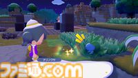 【ぽこポケ】『ぽこ あ ポケモン』ざいもく（材木）の集めかた、ポケモンの探し方、クラフトだいの便利な使い方など覚えておきたいオトクなテクニック集