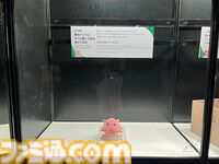 【ホロライブEXPO2026】配信初期の機材セットや汚い鍋、天音かなたのサイン入り握力計など、ホロメンの私物をすべて掲載。150枚以上の写真でリポートをお届け