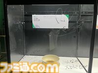 【ホロライブEXPO2026】配信初期の機材セットや汚い鍋、天音かなたのサイン入り握力計など、ホロメンの私物をすべて掲載。150枚以上の写真でリポートをお届け